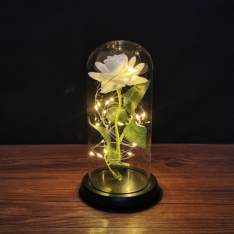 
                  
                    LED Enchanted Rose Eternal Flower with String Lights In Dome for Home Decor
                  
                