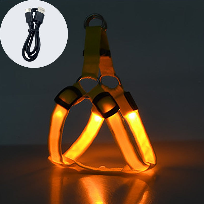 
                  
                    Luminous Dog Charging Harness Pet Accessories
                  
                