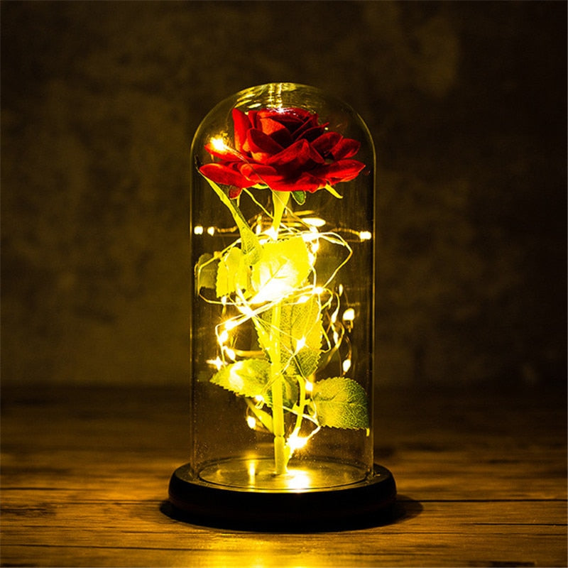 
                  
                    LED Enchanted Rose Eternal Flower with String Lights In Dome for Home Decor
                  
                