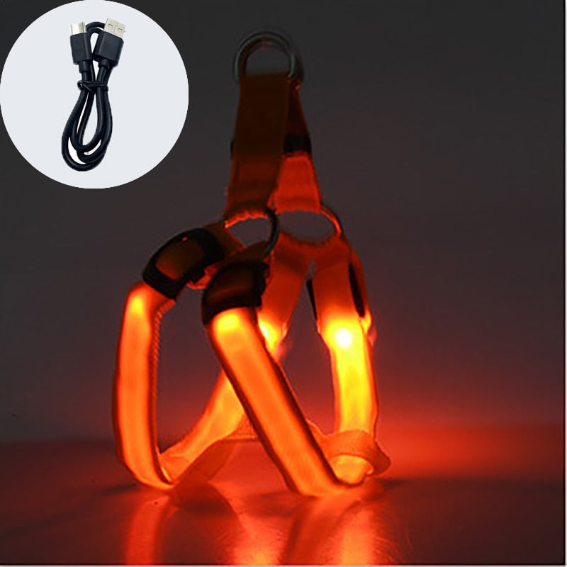 
                  
                    Luminous Dog Charging Harness Pet Accessories
                  
                