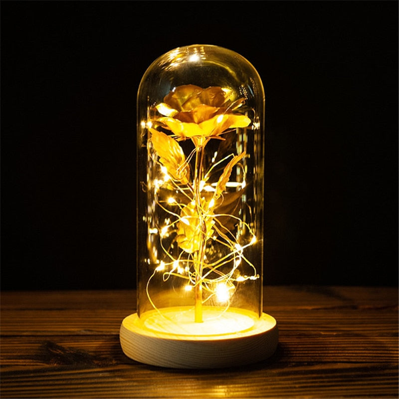 
                  
                    LED Enchanted Rose Eternal Flower with String Lights In Dome for Home Decor
                  
                