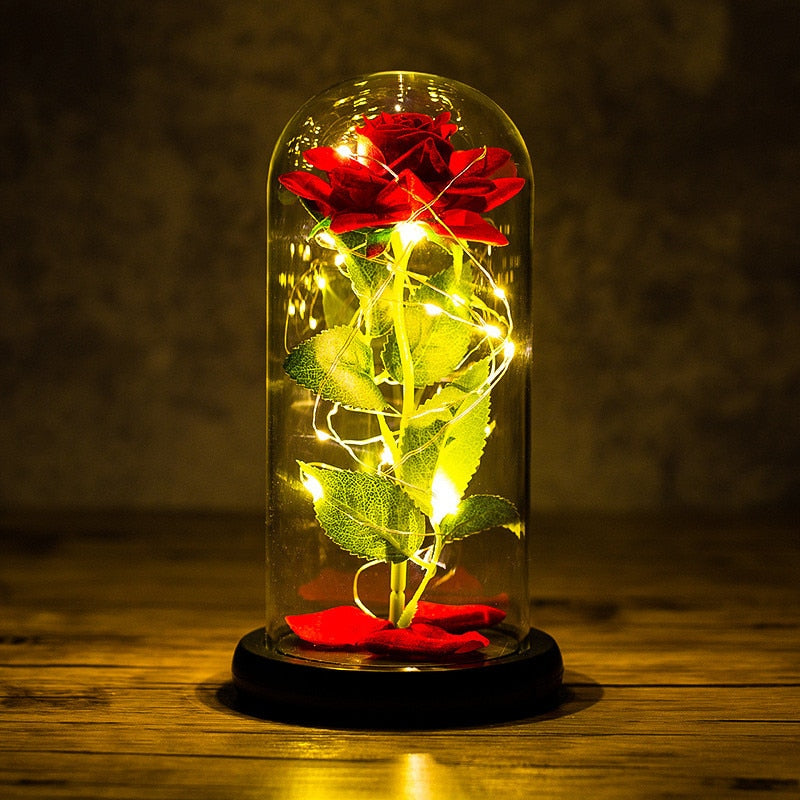 
                  
                    LED Enchanted Rose Eternal Flower with String Lights In Dome for Home Decor
                  
                