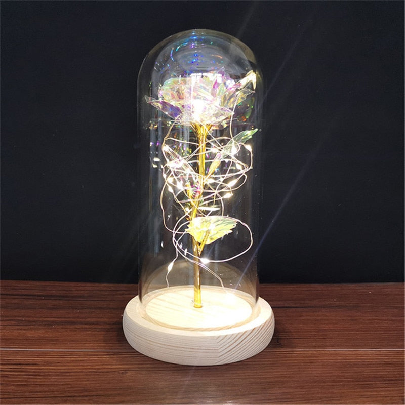 
                  
                    LED Enchanted Rose Eternal Flower with String Lights In Dome for Home Decor
                  
                