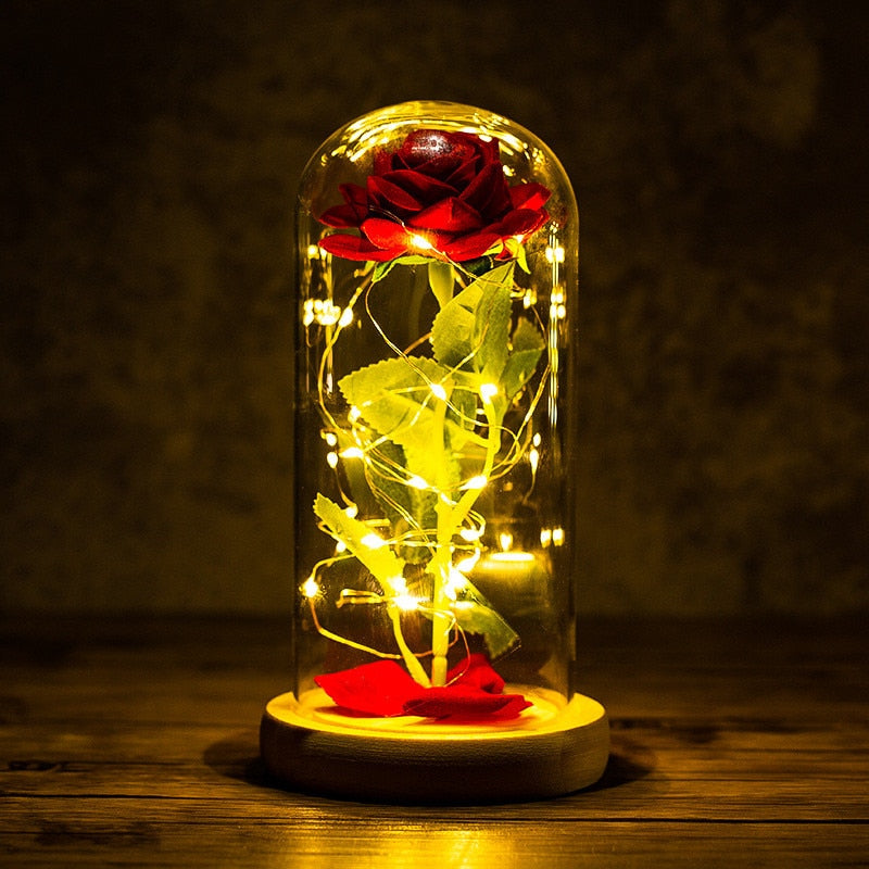 
                  
                    LED Enchanted Rose Eternal Flower with String Lights In Dome for Home Decor
                  
                