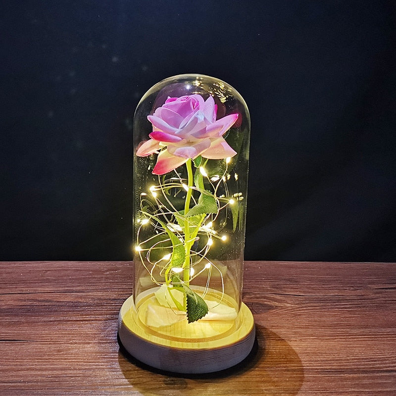 
                  
                    LED Enchanted Rose Eternal Flower with String Lights In Dome for Home Decor
                  
                