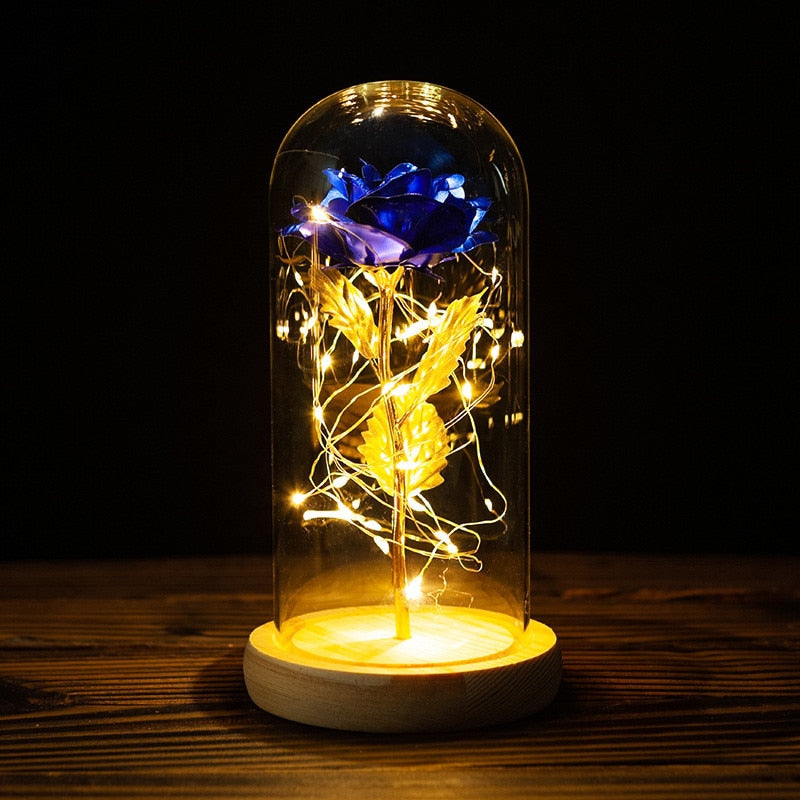 
                  
                    LED Enchanted Rose Eternal Flower with String Lights In Dome for Home Decor
                  
                