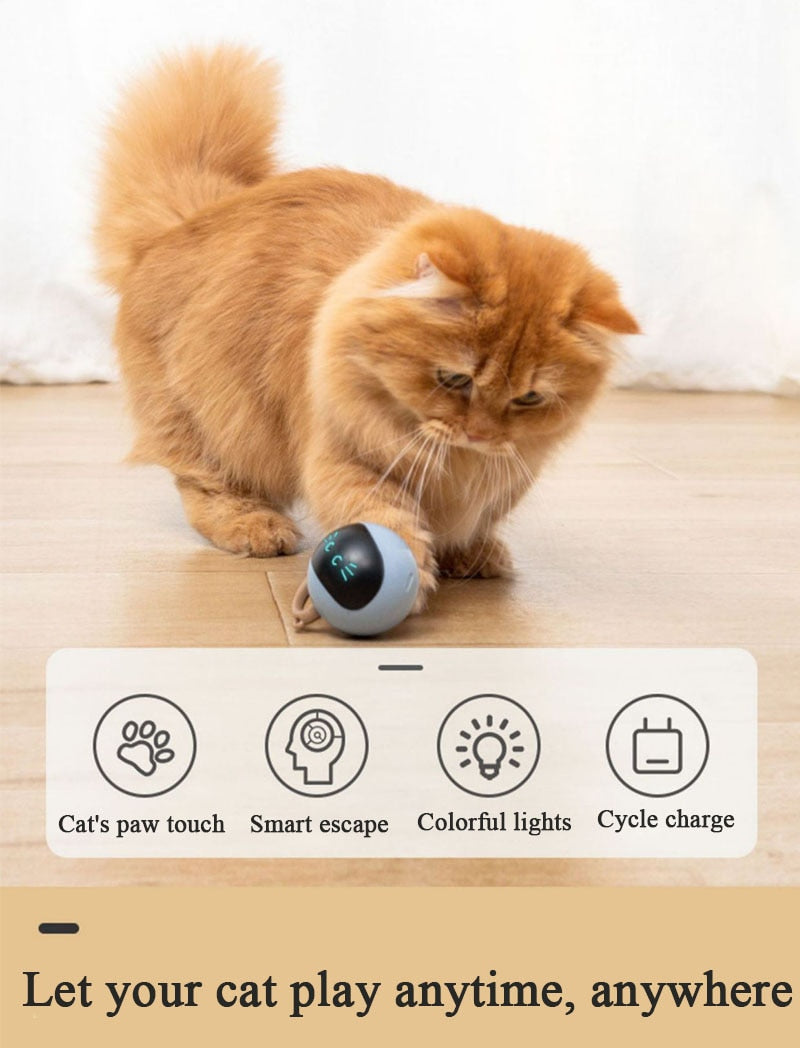 
                  
                    Pet Smart Rotation Interactive Magic Spin Ball Rechargeable Toy
                  
                