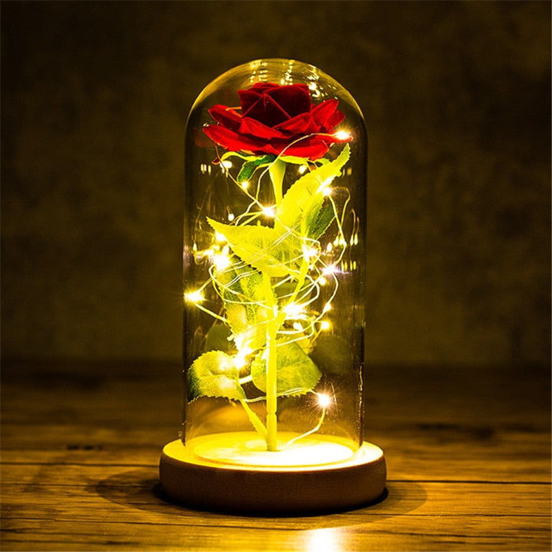 
                  
                    LED Enchanted Rose Eternal Flower with String Lights In Dome for Home Decor
                  
                