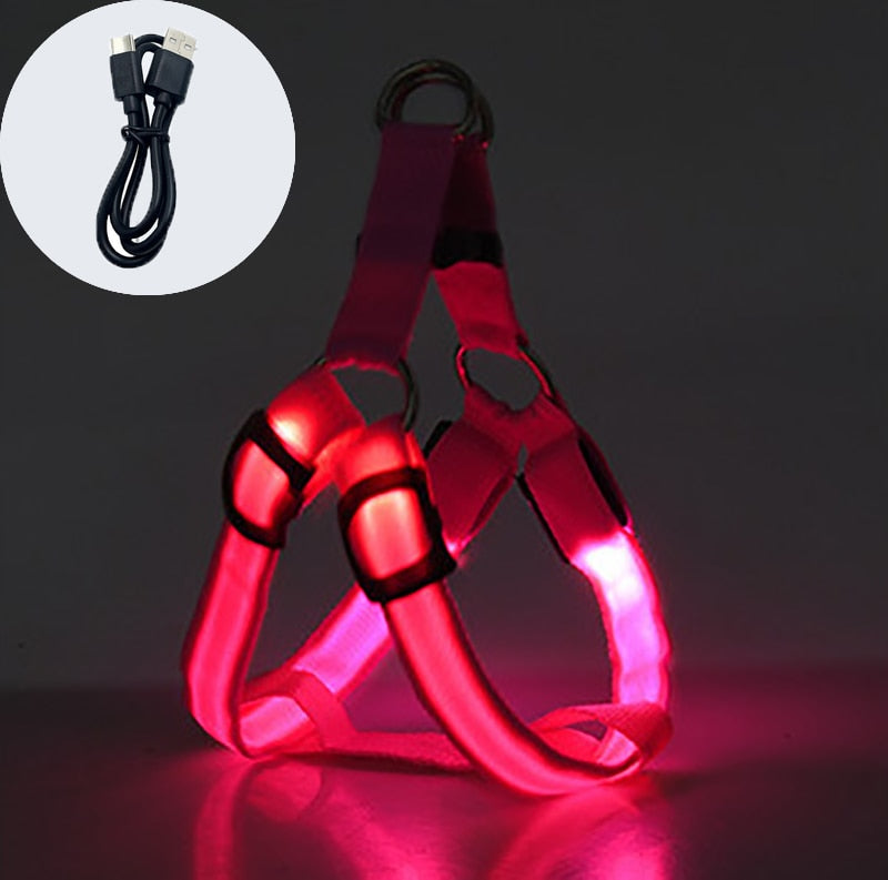 
                  
                    Luminous Dog Charging Harness Pet Accessories
                  
                