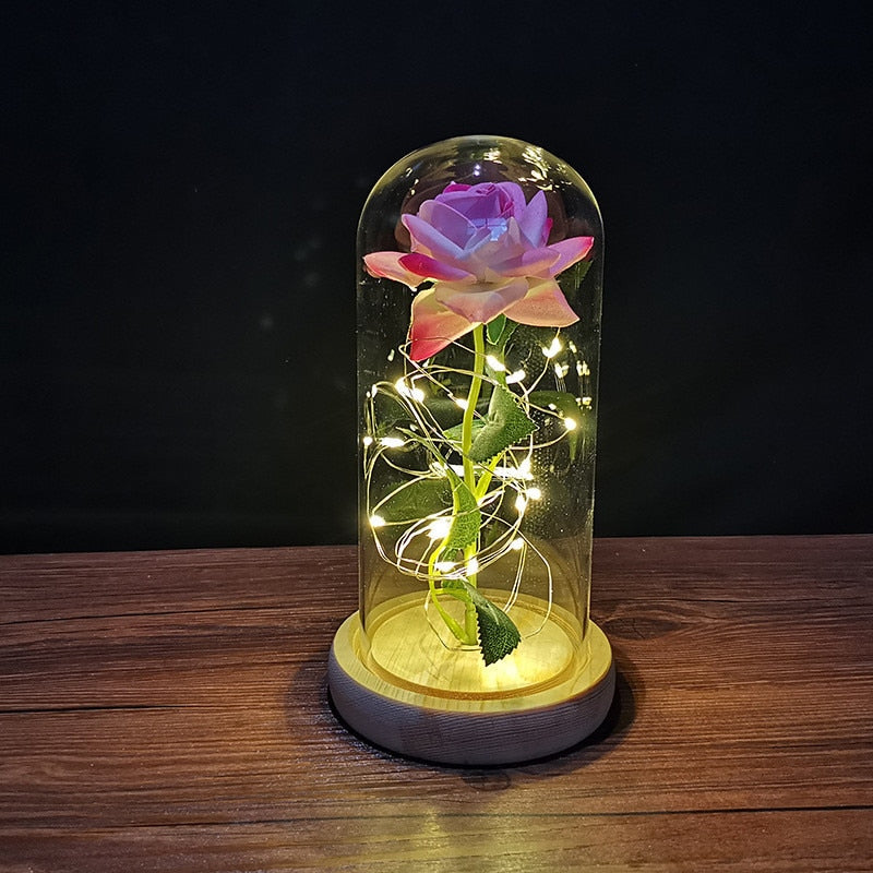 
                  
                    LED Enchanted Rose Eternal Flower with String Lights In Dome for Home Decor
                  
                