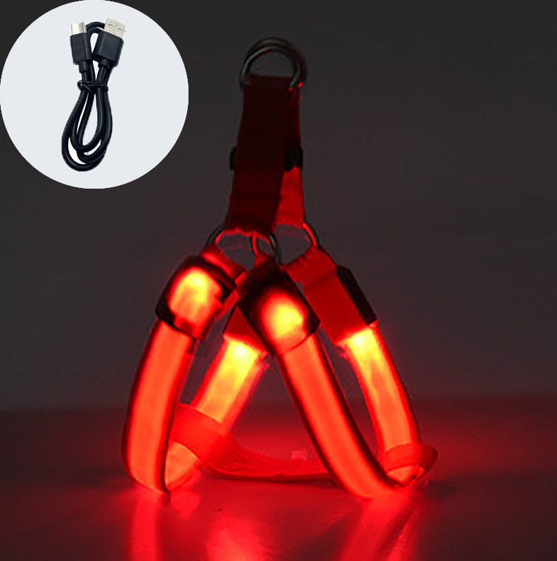 
                  
                    Luminous Dog Charging Harness Pet Accessories
                  
                