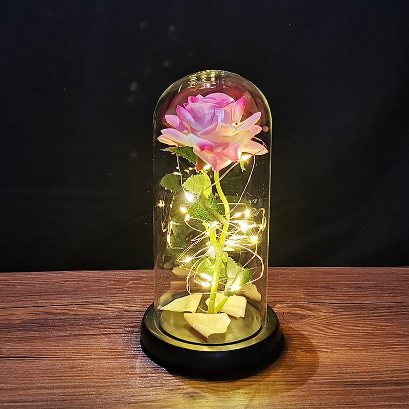 
                  
                    LED Enchanted Rose Eternal Flower with String Lights In Dome for Home Decor
                  
                