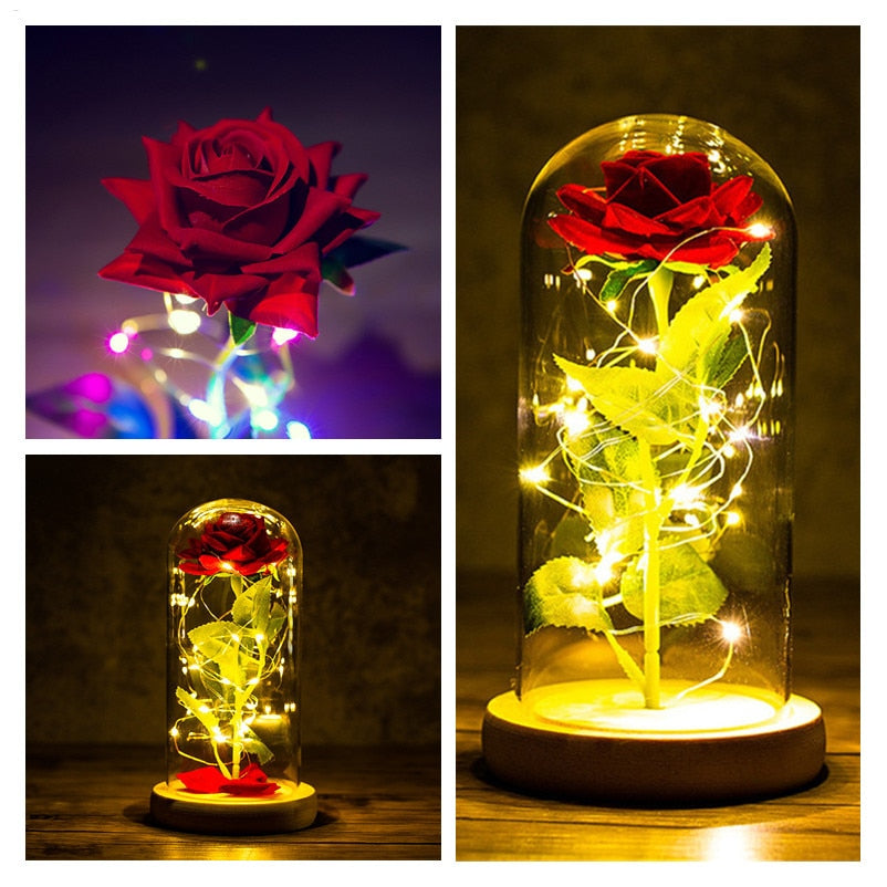 
                  
                    LED Enchanted Rose Eternal Flower with String Lights In Dome for Home Decor
                  
                