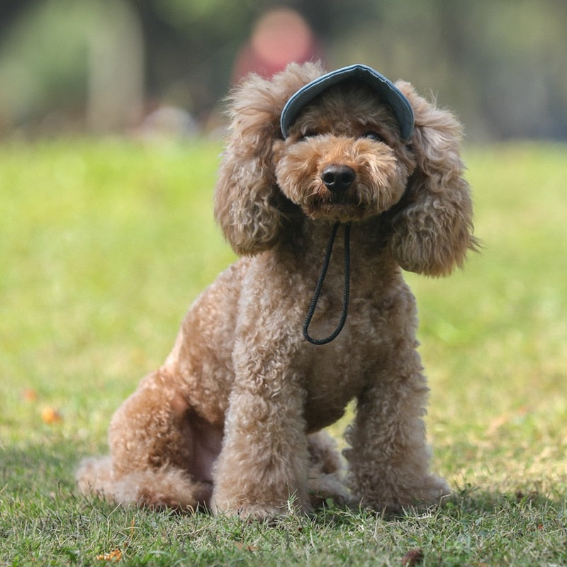 
                  
                    TAILUP Adjustable Buckle Design Outdoor Dog Cap w/Ear Holes for Sun Protection w/Matching Owner Cap
                  
                