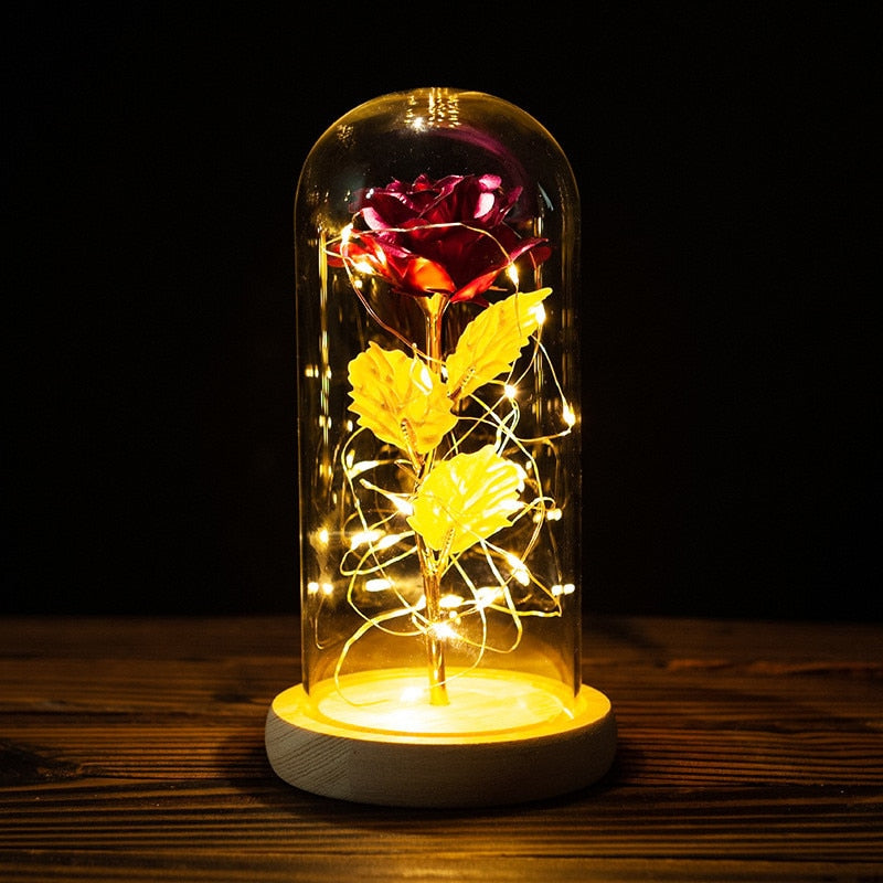 
                  
                    LED Enchanted Rose Eternal Flower with String Lights In Dome for Home Decor
                  
                