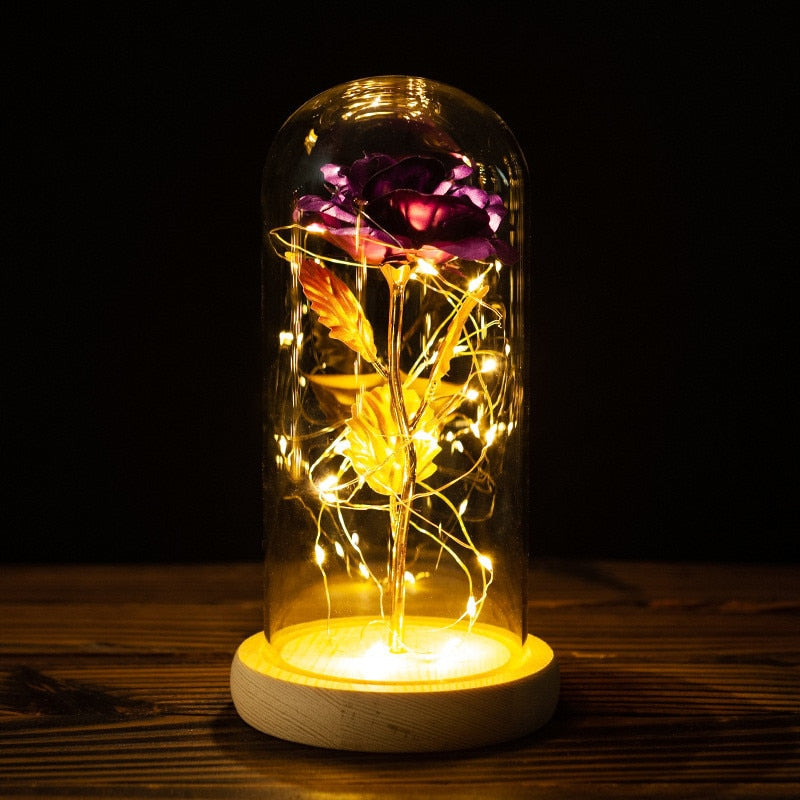 
                  
                    LED Enchanted Rose Eternal Flower with String Lights In Dome for Home Decor
                  
                