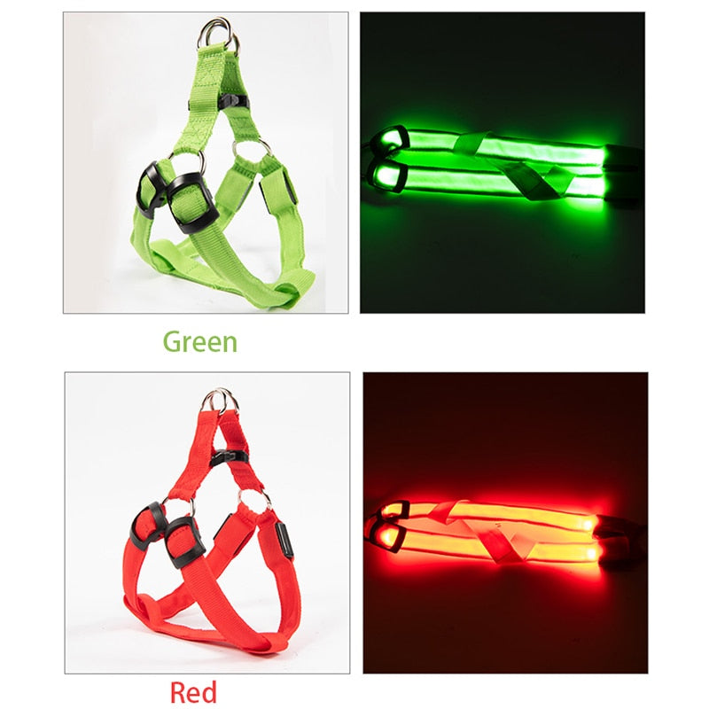 
                  
                    Luminous Dog Charging Harness Pet Accessories
                  
                