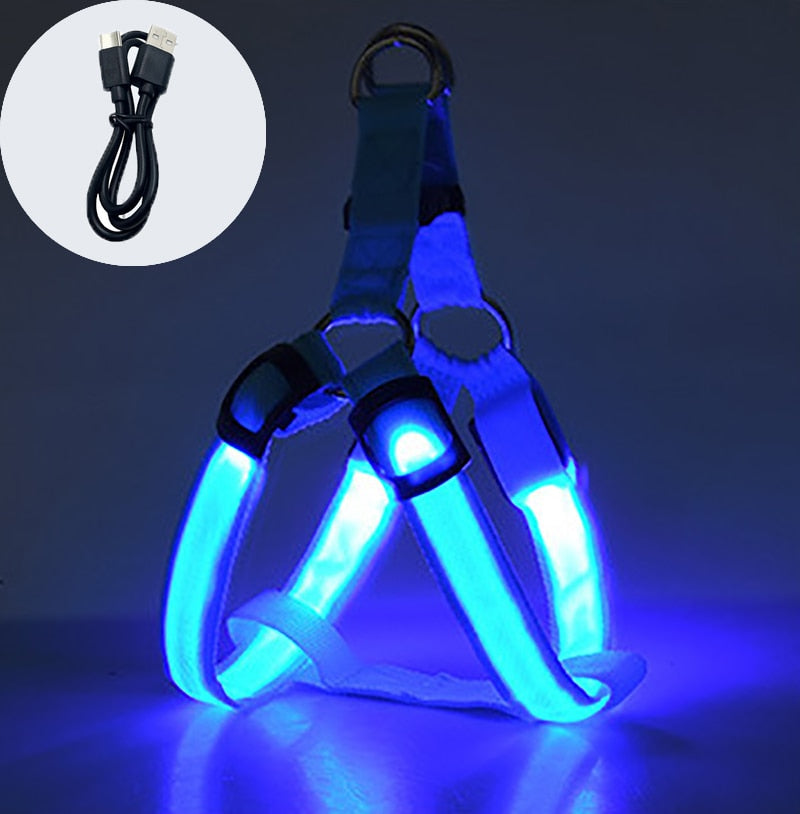 
                  
                    Luminous Dog Charging Harness Pet Accessories
                  
                