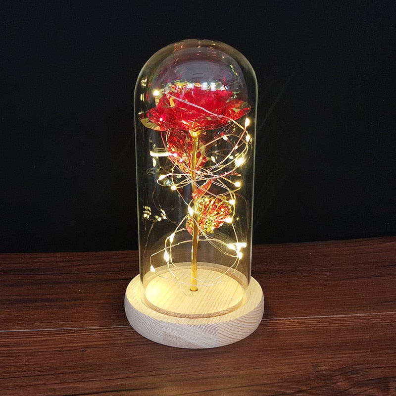 
                  
                    LED Enchanted Rose Eternal Flower with String Lights In Dome for Home Decor
                  
                