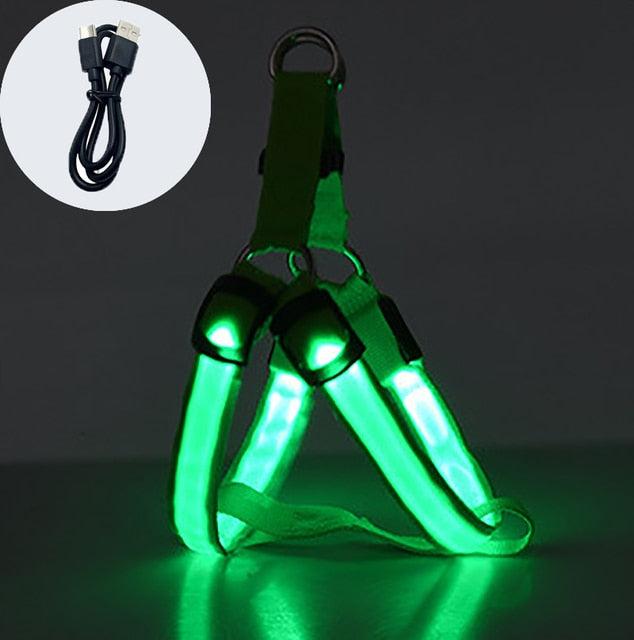 
                  
                    Luminous Dog Charging Harness Pet Accessories
                  
                