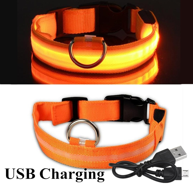 
                  
                    USB Rechargeable Pet LED Glowing Collar Luminous Flashing Outdoor Walking Night Safety Collar
                  
                