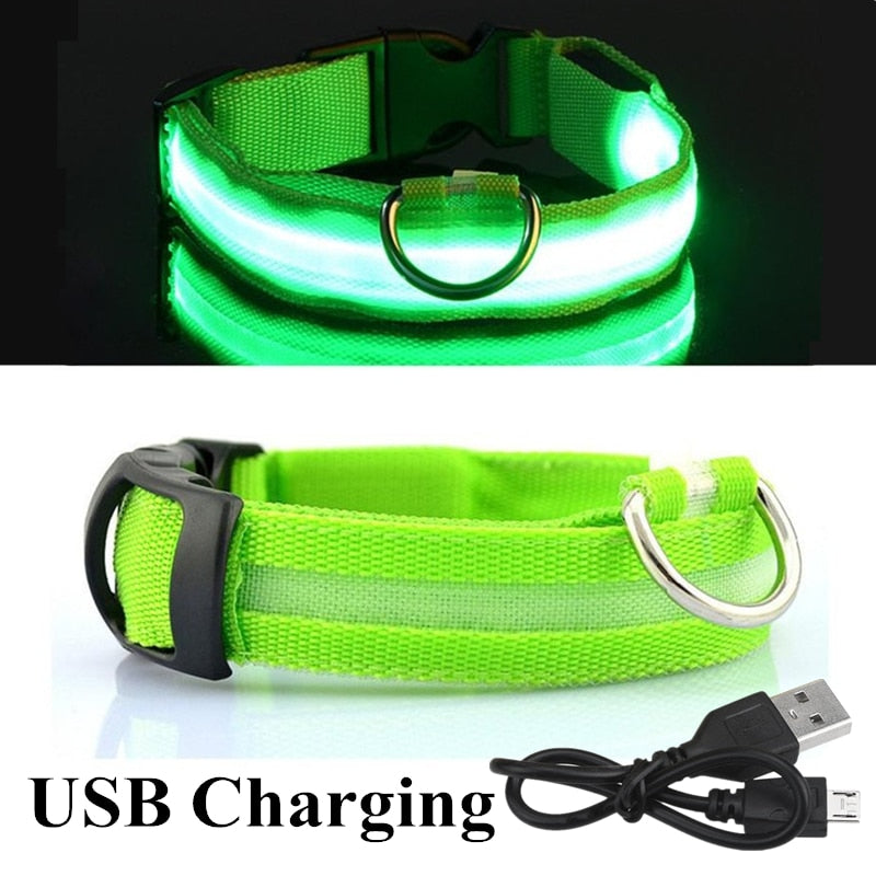 
                  
                    USB Rechargeable Pet LED Glowing Collar Luminous Flashing Outdoor Walking Night Safety Collar
                  
                