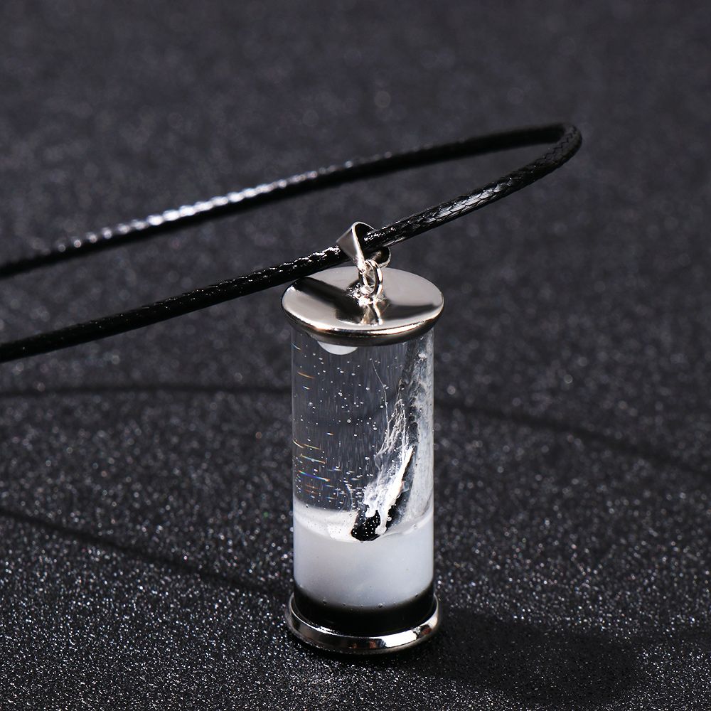 
                  
                    Crystal Vial Wishing Bottle Leather Rope Pendant Resin Permanent Time Flower Luminous Drifting Jar Necklace
                  
                