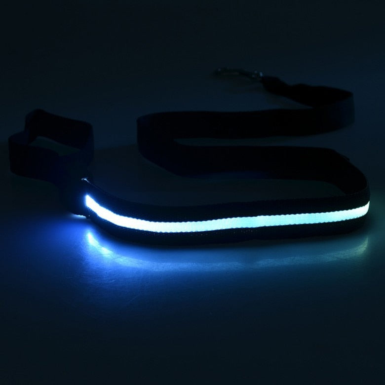 
                  
                    Pet Dog LED Light Emitting USB Charging Luminous Leash Dog Accessories
                  
                