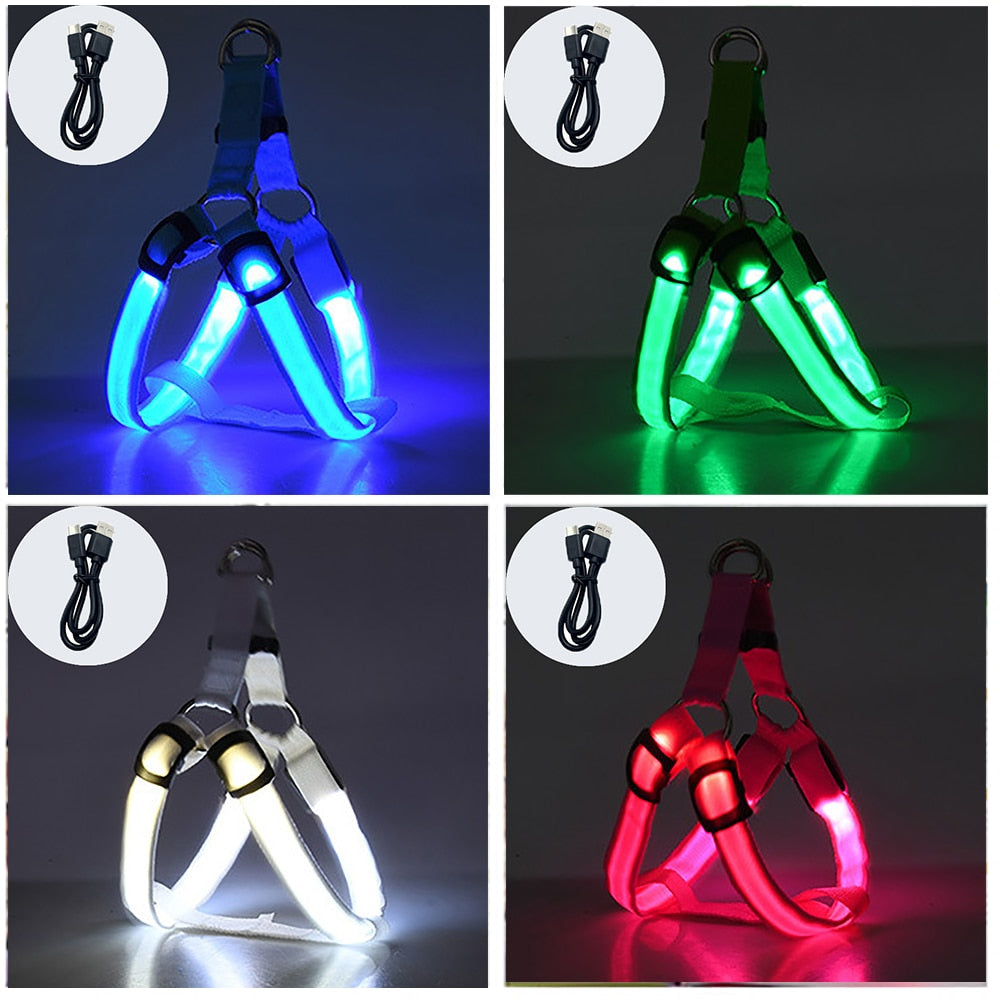 Luminous Dog Charging Harness Pet Accessories