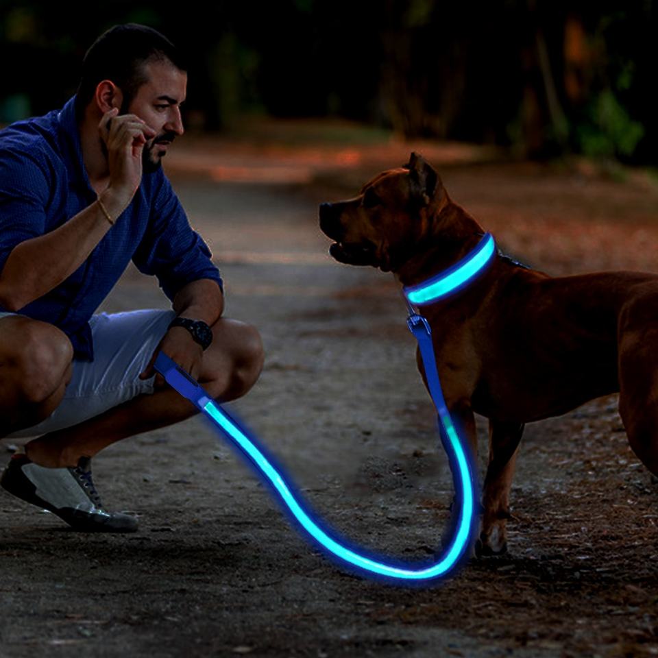 
                  
                    Pet Dog LED Light Emitting USB Charging Luminous Leash Dog Accessories
                  
                