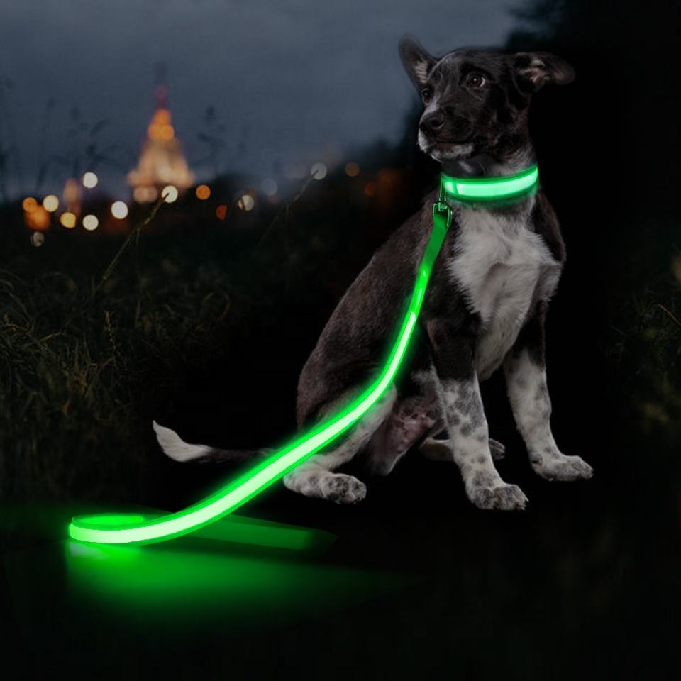 Pet Dog LED Light Emitting USB Charging Luminous Leash Dog Accessories