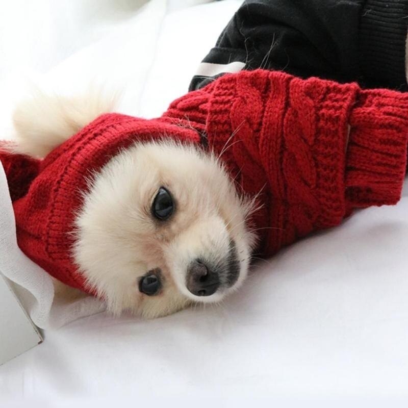 
                  
                    Warm Knitted Hat and Scarf Collar for Dogs
                  
                