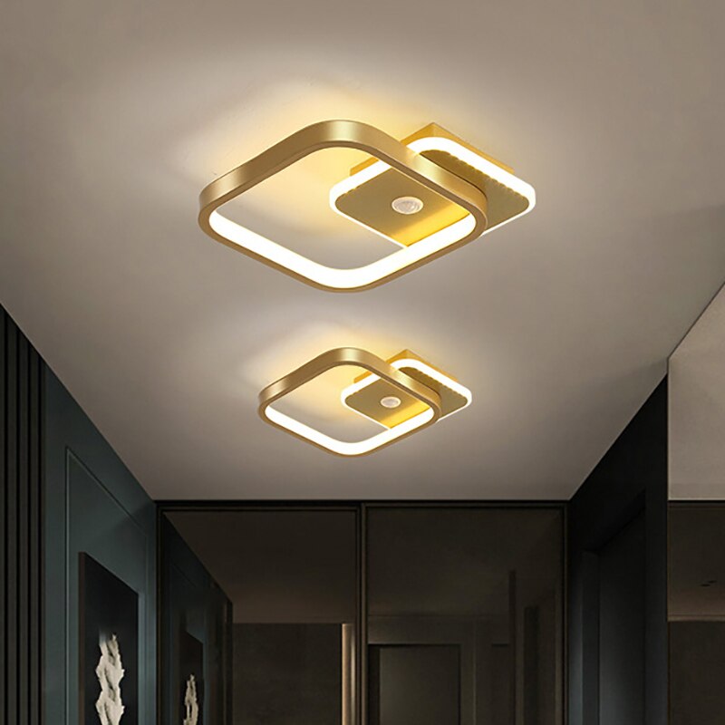 
                  
                    Nordic LED Ceiling Modern Lights Indoor Lighting
                  
                