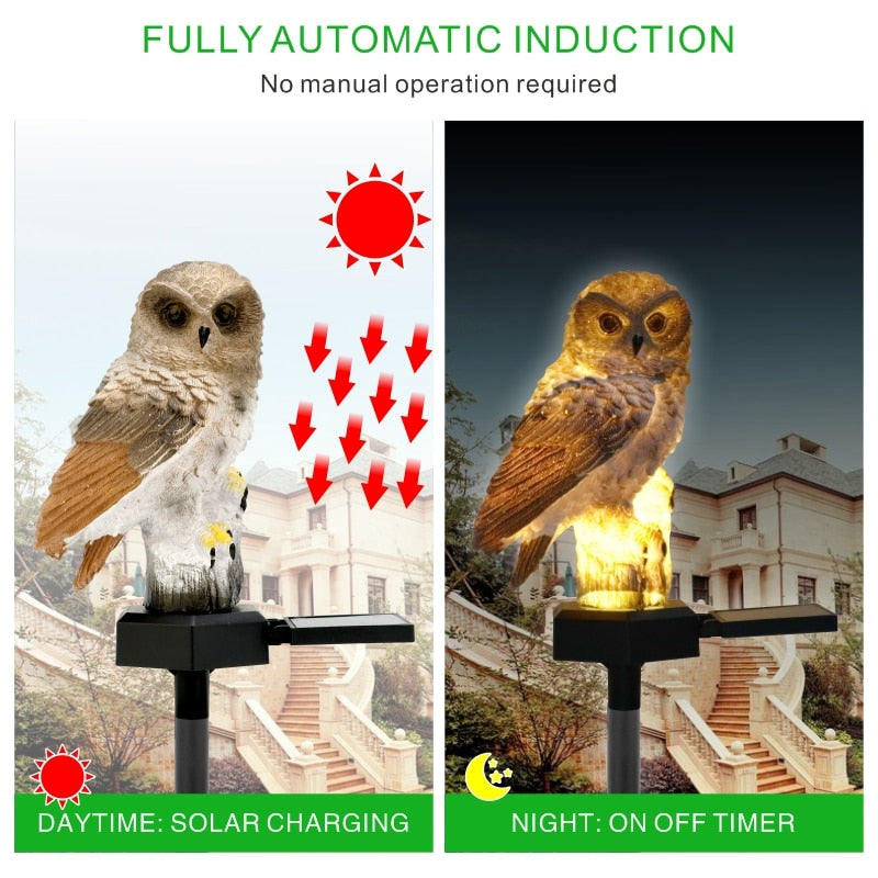 
                  
                    LED Solar Owl Lights
                  
                