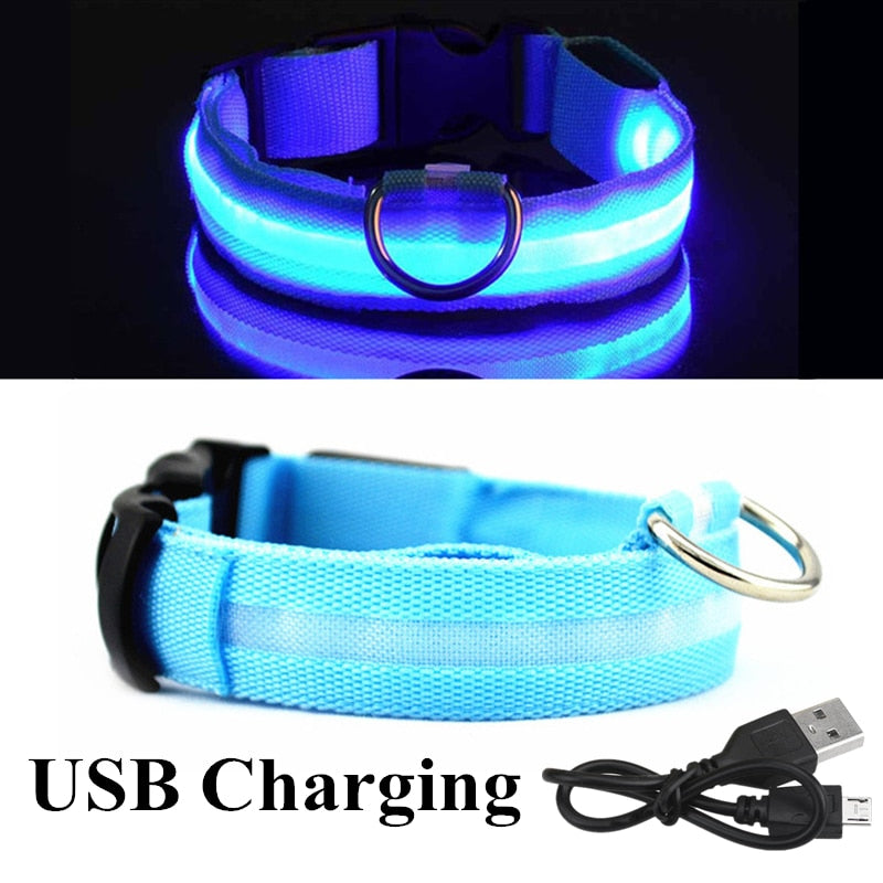 
                  
                    USB Rechargeable Pet LED Glowing Collar Luminous Flashing Outdoor Walking Night Safety Collar
                  
                