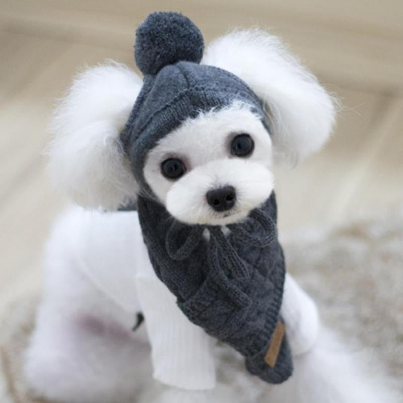 
                  
                    Warm Knitted Hat and Scarf Collar for Dogs
                  
                