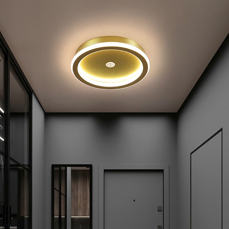 
                  
                    Nordic LED Ceiling Modern Lights Indoor Lighting
                  
                