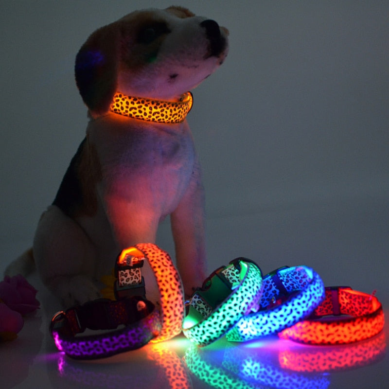 Pet LED Glow-In-The-Dark Adjustable Night Safe Walk USB Collars