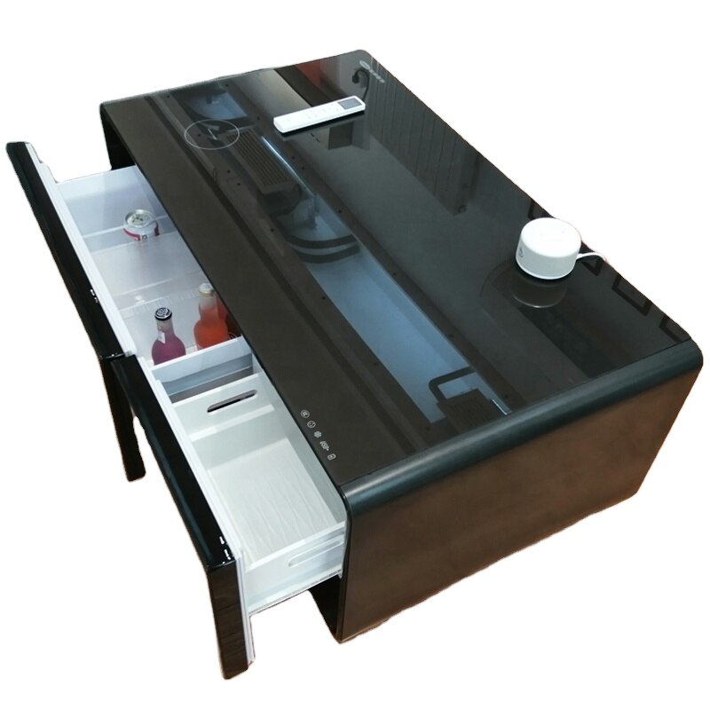 
                  
                    Modern Smart Refrigerator Coffee Table with Storage Cabinet
                  
                