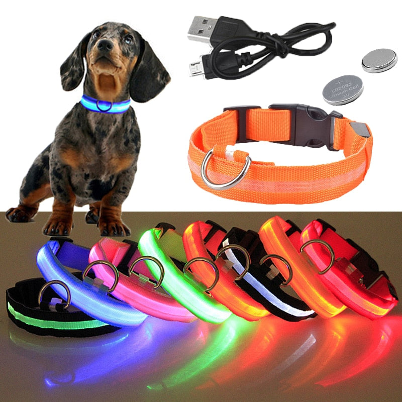 USB Rechargeable Pet LED Glowing Collar Luminous Flashing Outdoor Walking Night Safety Collar