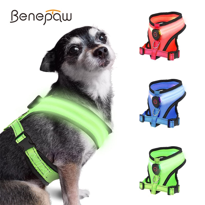 LED Light Dog Harness USB Rechargeable Reflective Adjustable Mesh Soft Padded Pet Vest Harness