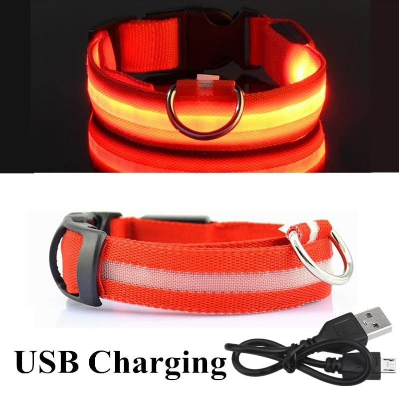 
                  
                    USB Rechargeable Pet LED Glowing Collar Luminous Flashing Outdoor Walking Night Safety Collar
                  
                