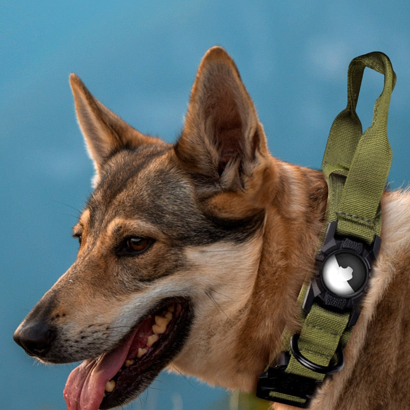 
                  
                    Tactical Air Tag Dog Collar Heavy Duty Military Dog Collar with Holder
                  
                