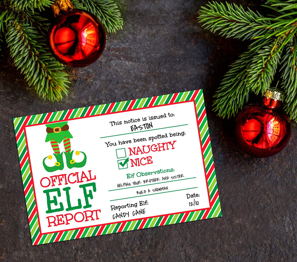 Santa Claus Flight License Christmas Eve Driving License for Kids