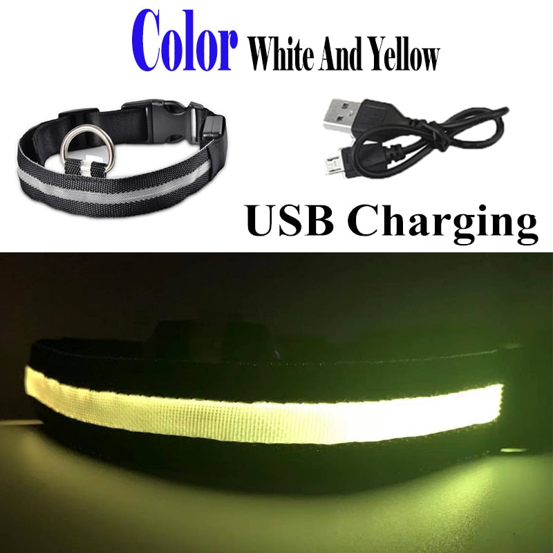 
                  
                    USB Rechargeable Pet LED Glowing Collar Luminous Flashing Outdoor Walking Night Safety Collar
                  
                