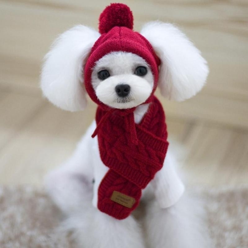 
                  
                    Warm Knitted Hat and Scarf Collar for Dogs
                  
                