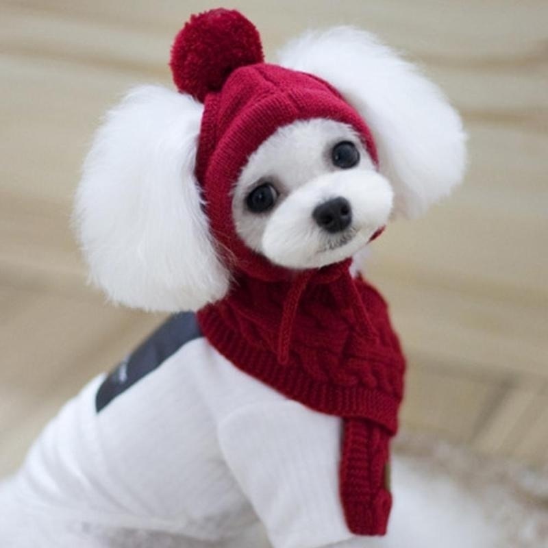 
                  
                    Warm Knitted Hat and Scarf Collar for Dogs
                  
                