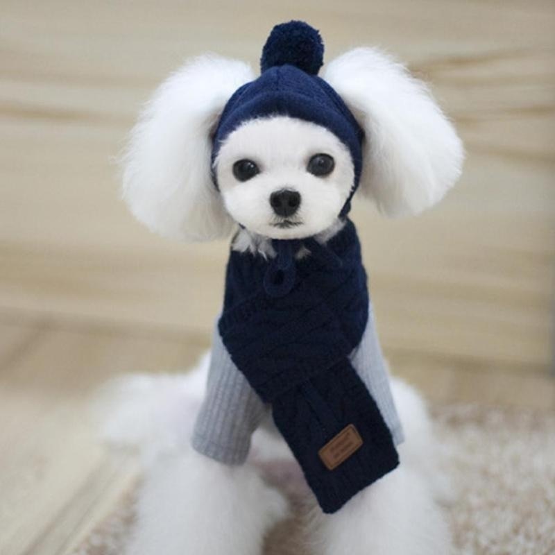 
                  
                    Warm Knitted Hat and Scarf Collar for Dogs
                  
                