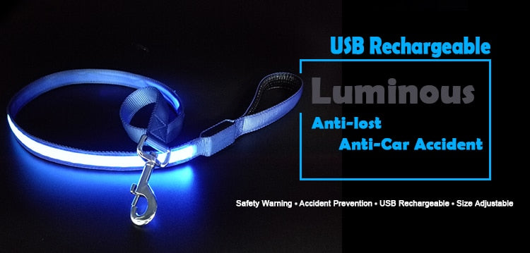 
                  
                    Pet Dog LED Light Emitting USB Charging Luminous Leash Dog Accessories
                  
                