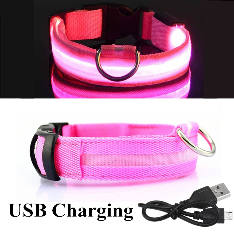 
                  
                    USB Rechargeable Pet LED Glowing Collar Luminous Flashing Outdoor Walking Night Safety Collar
                  
                